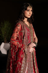 Anari