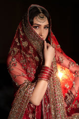 Anari